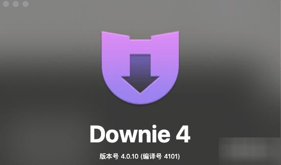 Downie4.0.10,网站视频下载.